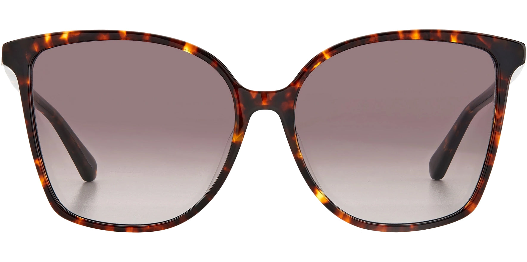 Kate Spade Brigitte Squared Butterfly w/ Gradient Lens - Eyedictive