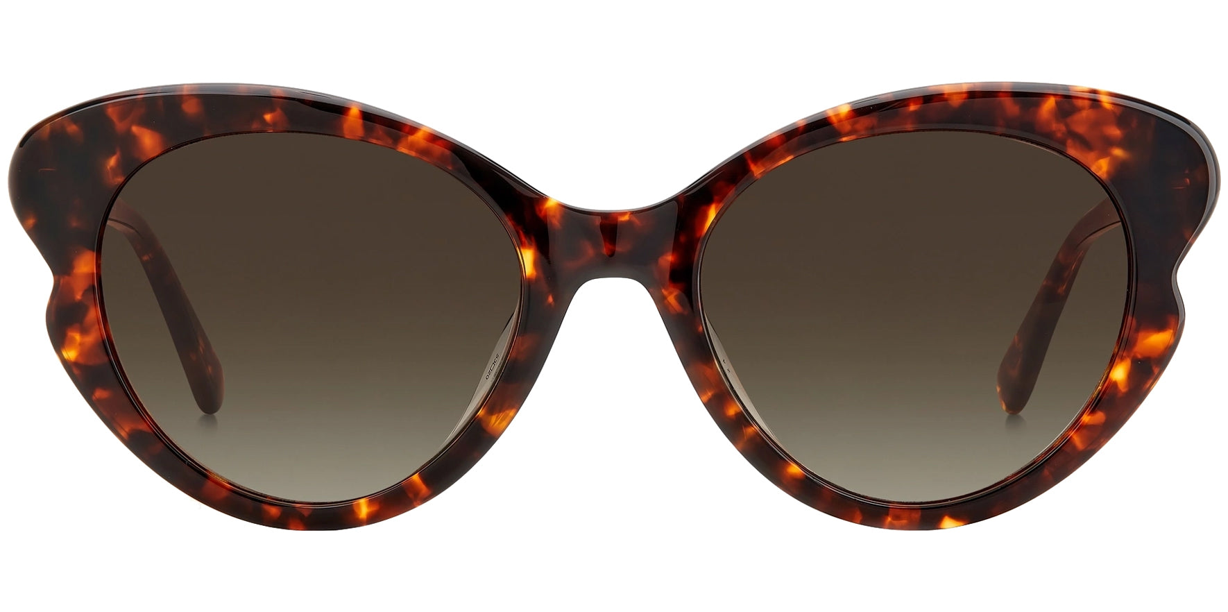 Kate Spade Elina Havana Butterfly w/ Gradient Lens - Eyedictive