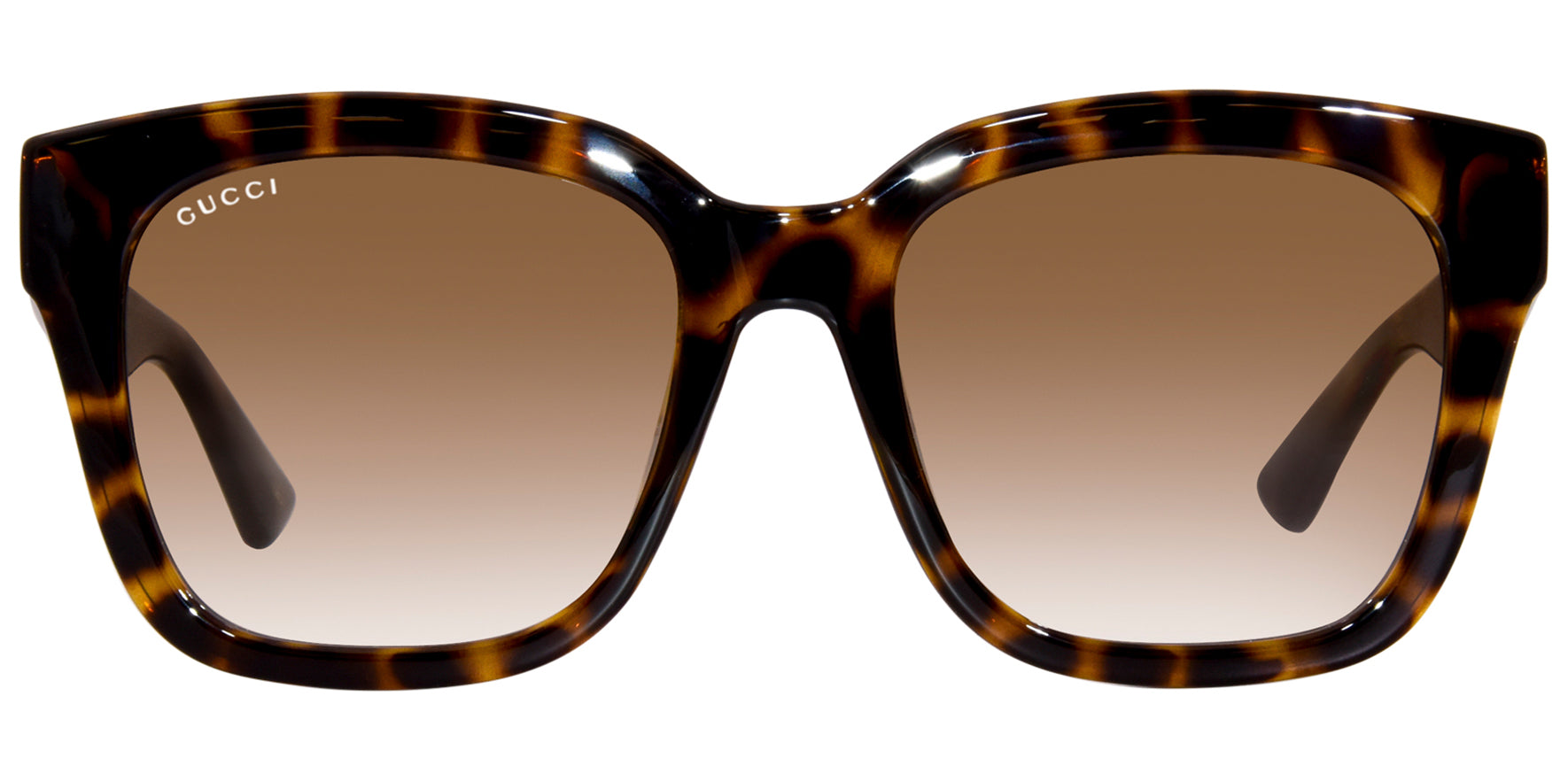 Gucci Havana Oversize Square w/ Gradient Lens - Eyedictive