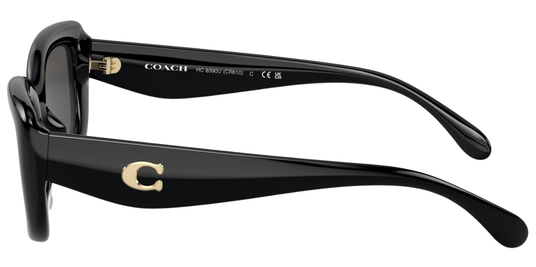 Coach Black Pillow Rectangle - Eyedictive