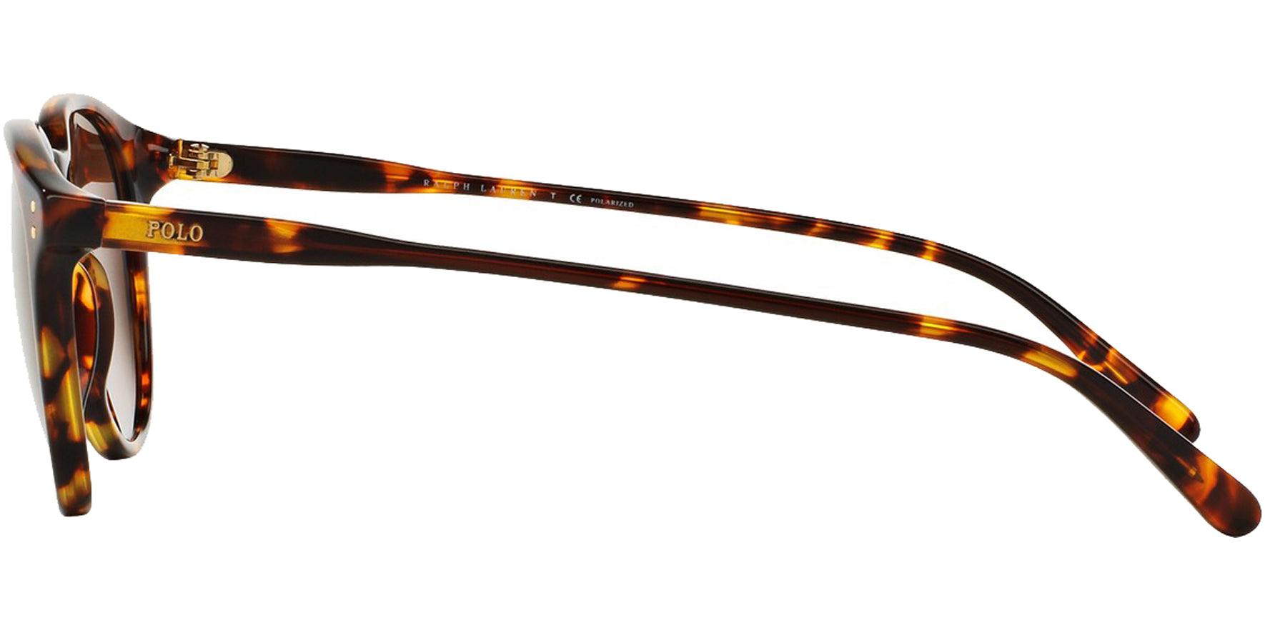 Polo Ralph Lauren Polarized Round - Eyedictive