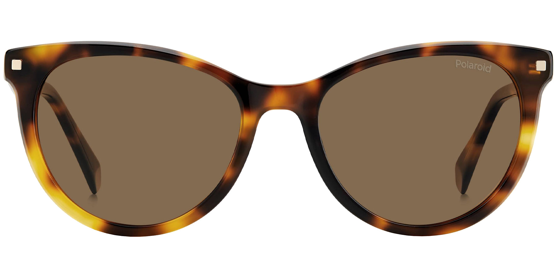 Polaroid Polarized Havana Cat Eye - Eyedictive