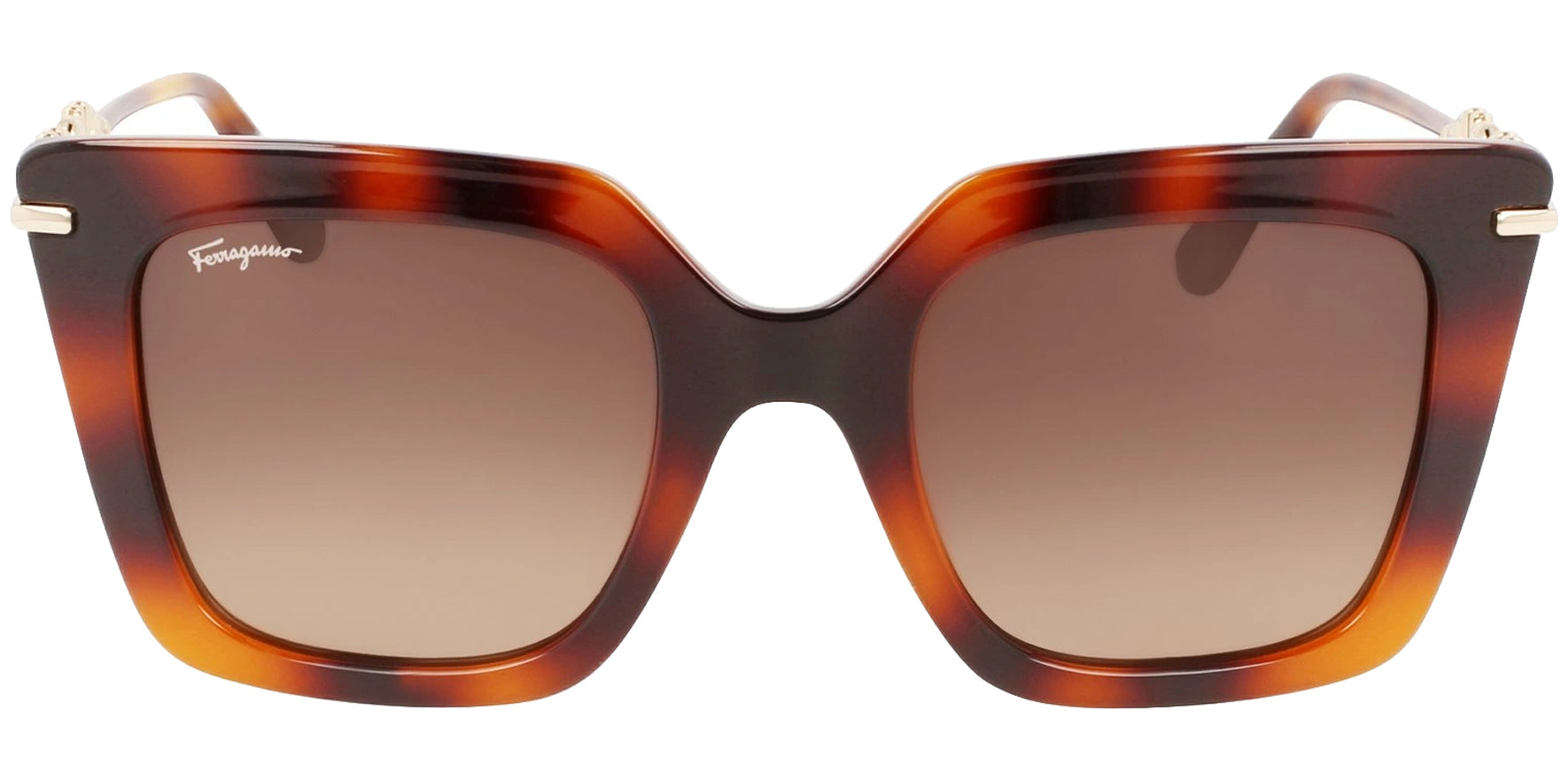 Salvatore Ferragamo Classic Havana Oversize Square - Eyedictive