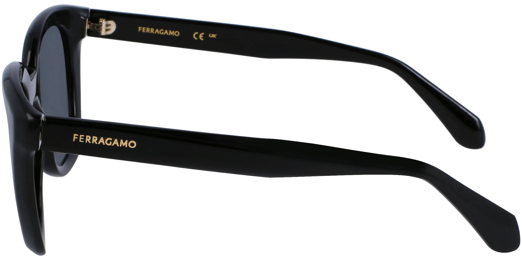 Ferragamo Chunky Rounded Cat-Eye