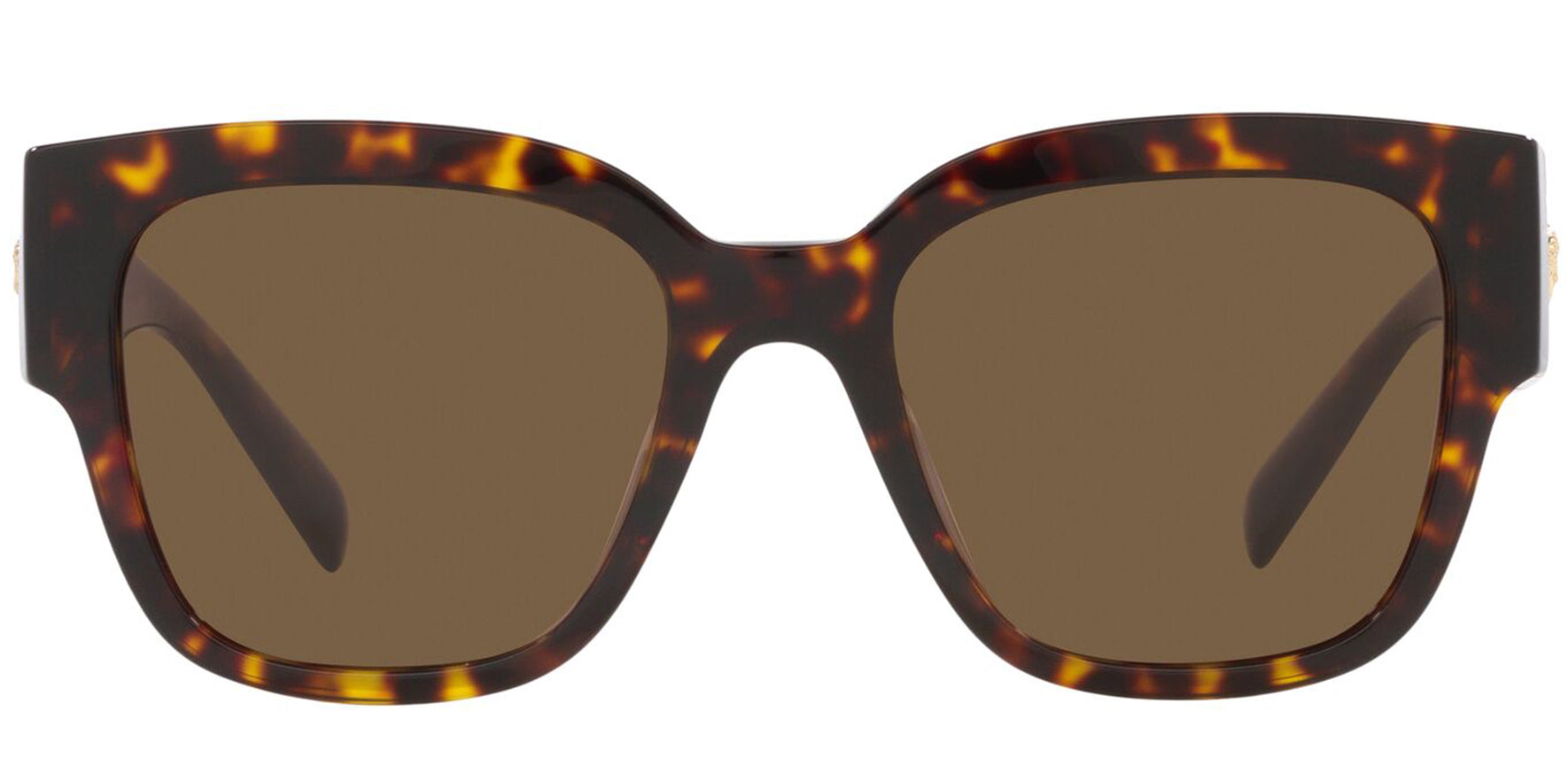 Versace Havana Wide Temple Oversize Square - Eyedictive