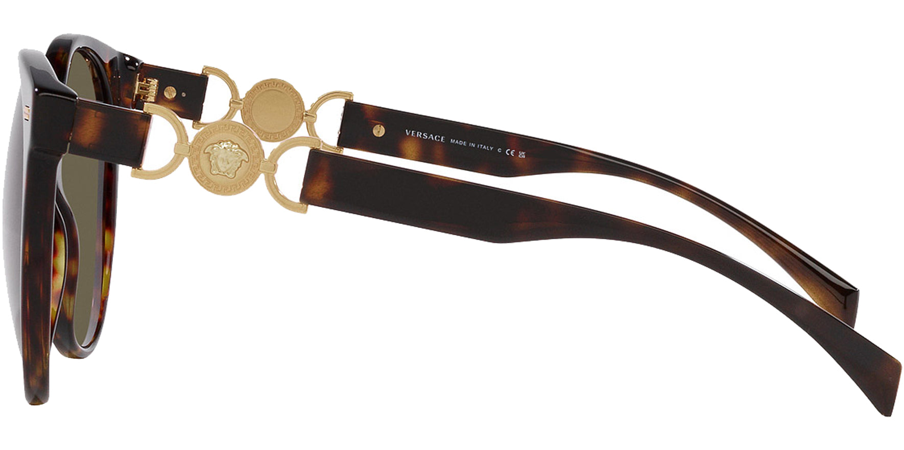 Versace Havana Oversize Round Panto - Eyedictive