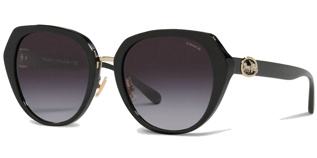 Coach Horse & Carriage Oversized Round w/ Gradient Lens  display picture 1