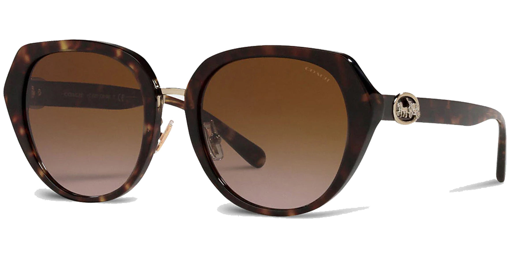 Coach Horse & Carriage Oversized Round w/ Gradient Lens - Eyedictive