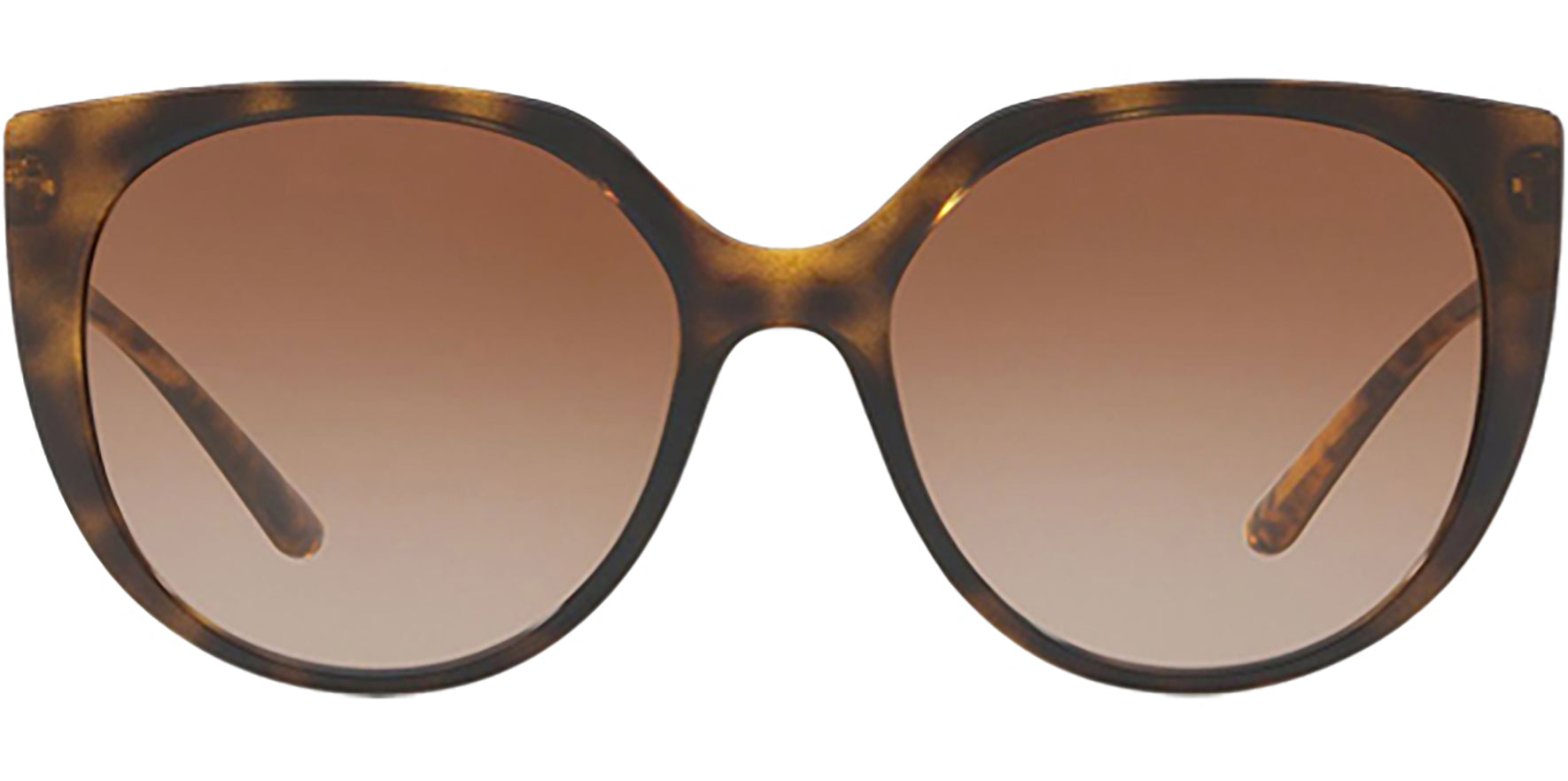 Dolce & Gabbana Havana Rounded Cat Eye w/ Gradient Lens - Eyedictive
