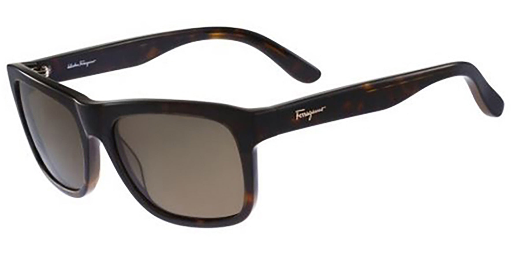 Salvatore Ferragamo Polarized Classic - Eyedictive