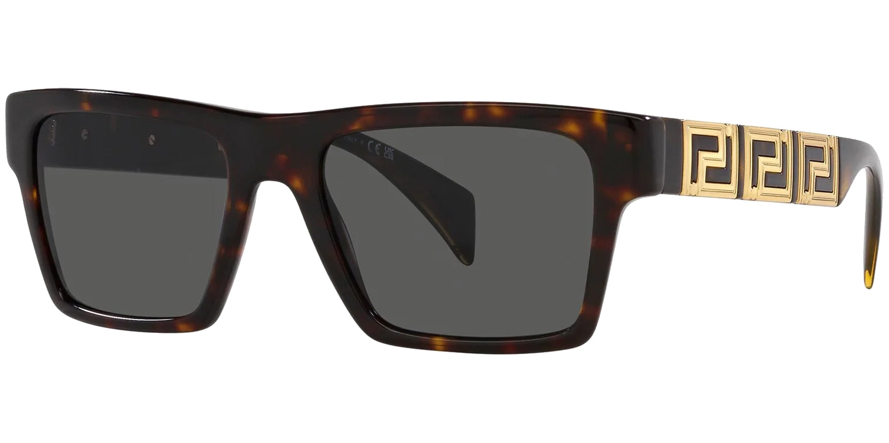 Versace Rectangle w/ Greca Pattern Temples - Eyedictive