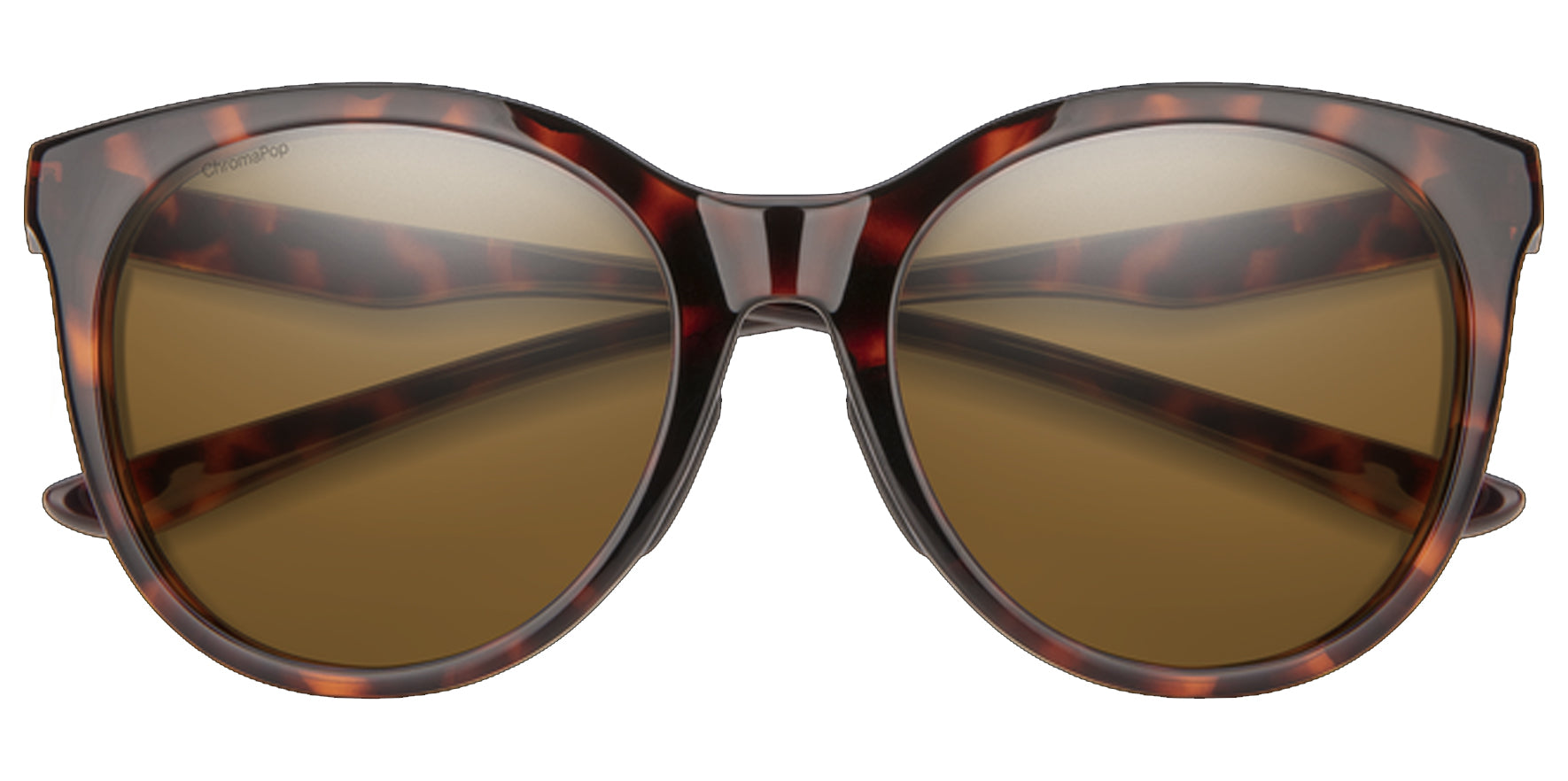 Smith Optics Bayside Polarized Round Tortoise - Eyedictive