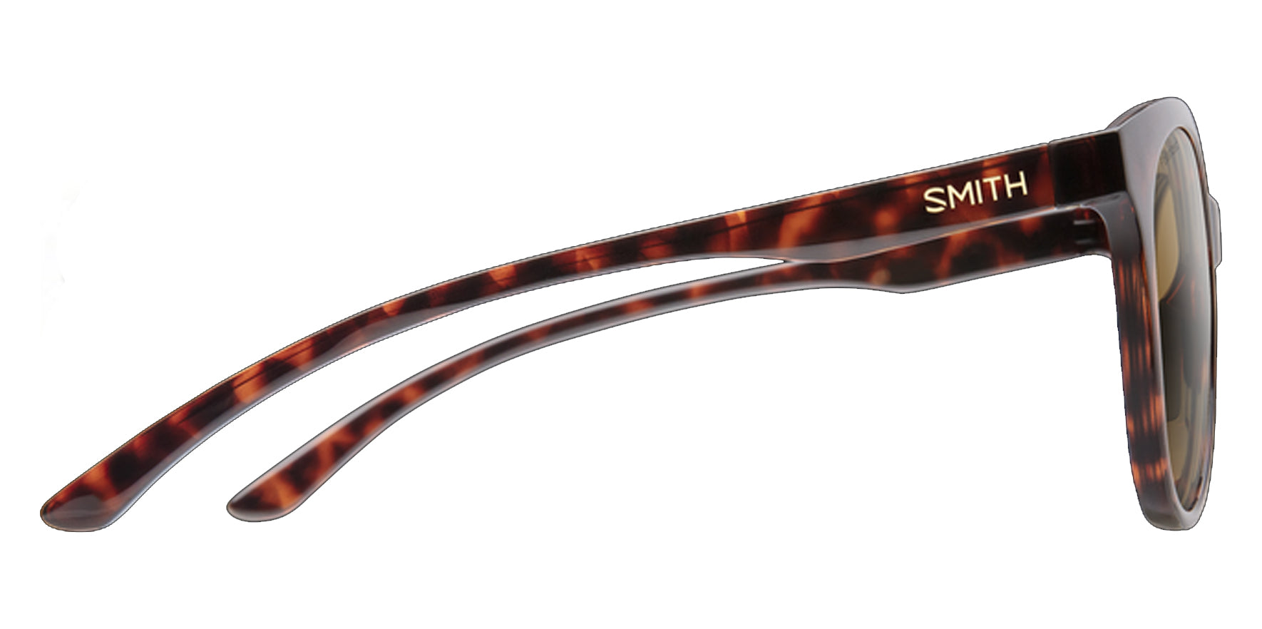 Smith Optics Bayside Polarized Round Tortoise - Eyedictive