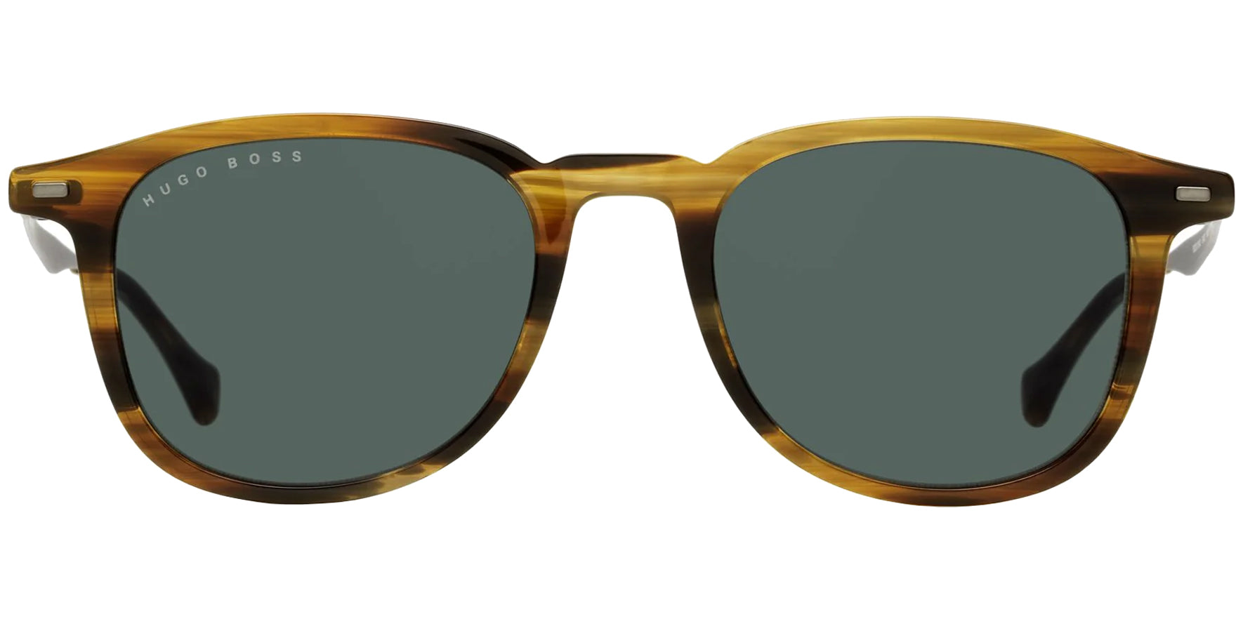 Hugo Boss Brown Horn Pantos w/ Titanium Temples - Eyedictive