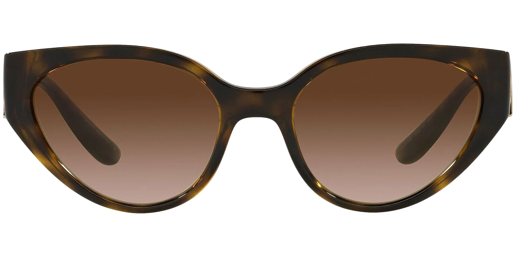 Dolce &amp; Gabbana Havana Cat Eye w/ Gradient Lens - Eyedictive