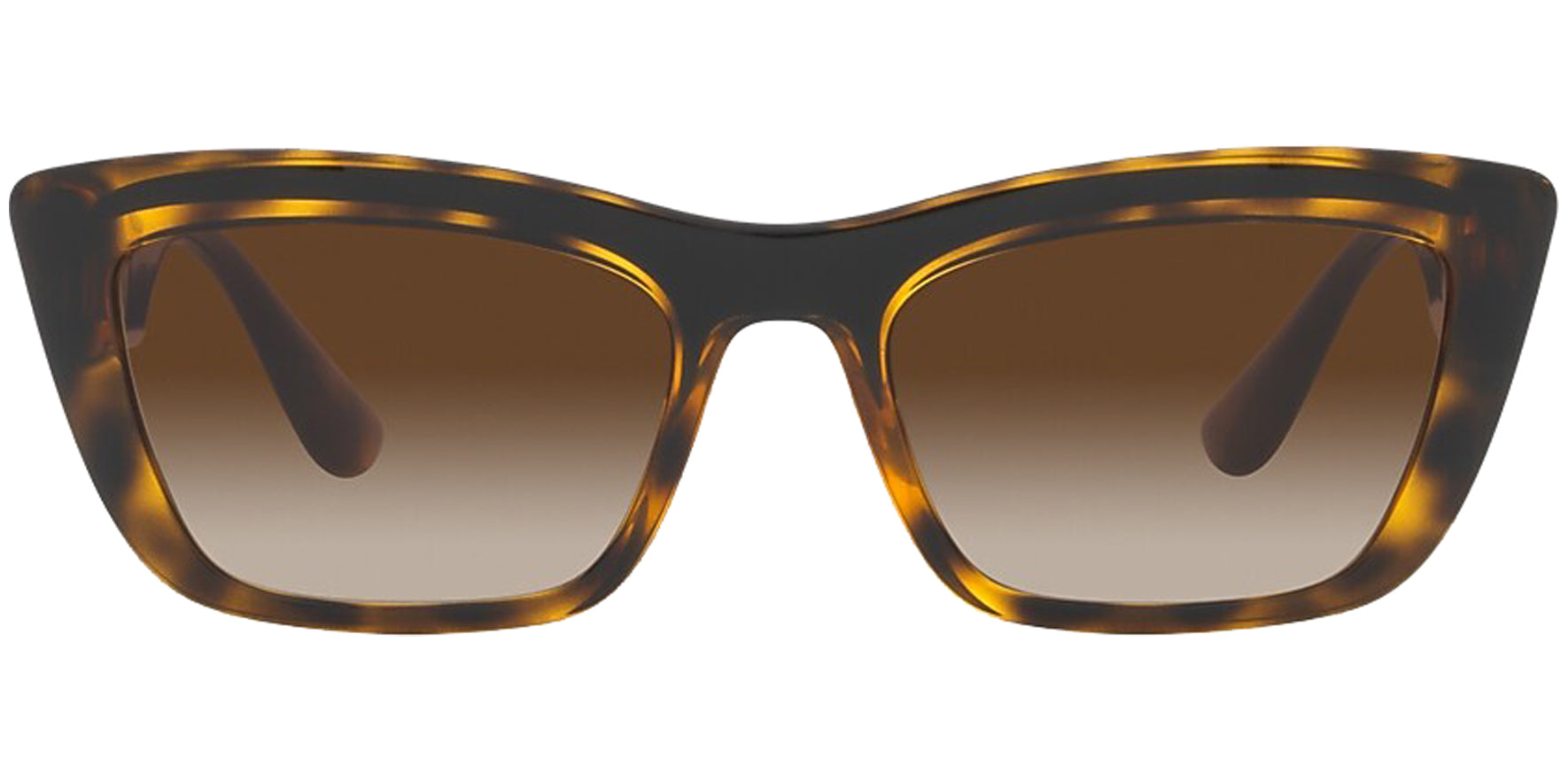 Dolce & Gabbana Havana/Black Cat Eye - Eyedictive