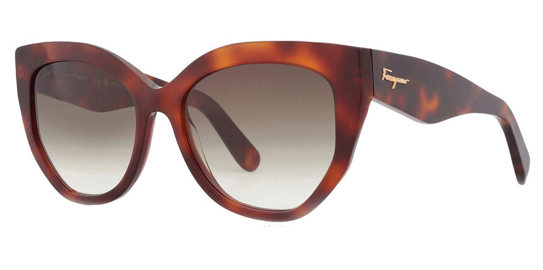 Ferragamo Tortoise Cat Eye w/ Gradient Lens