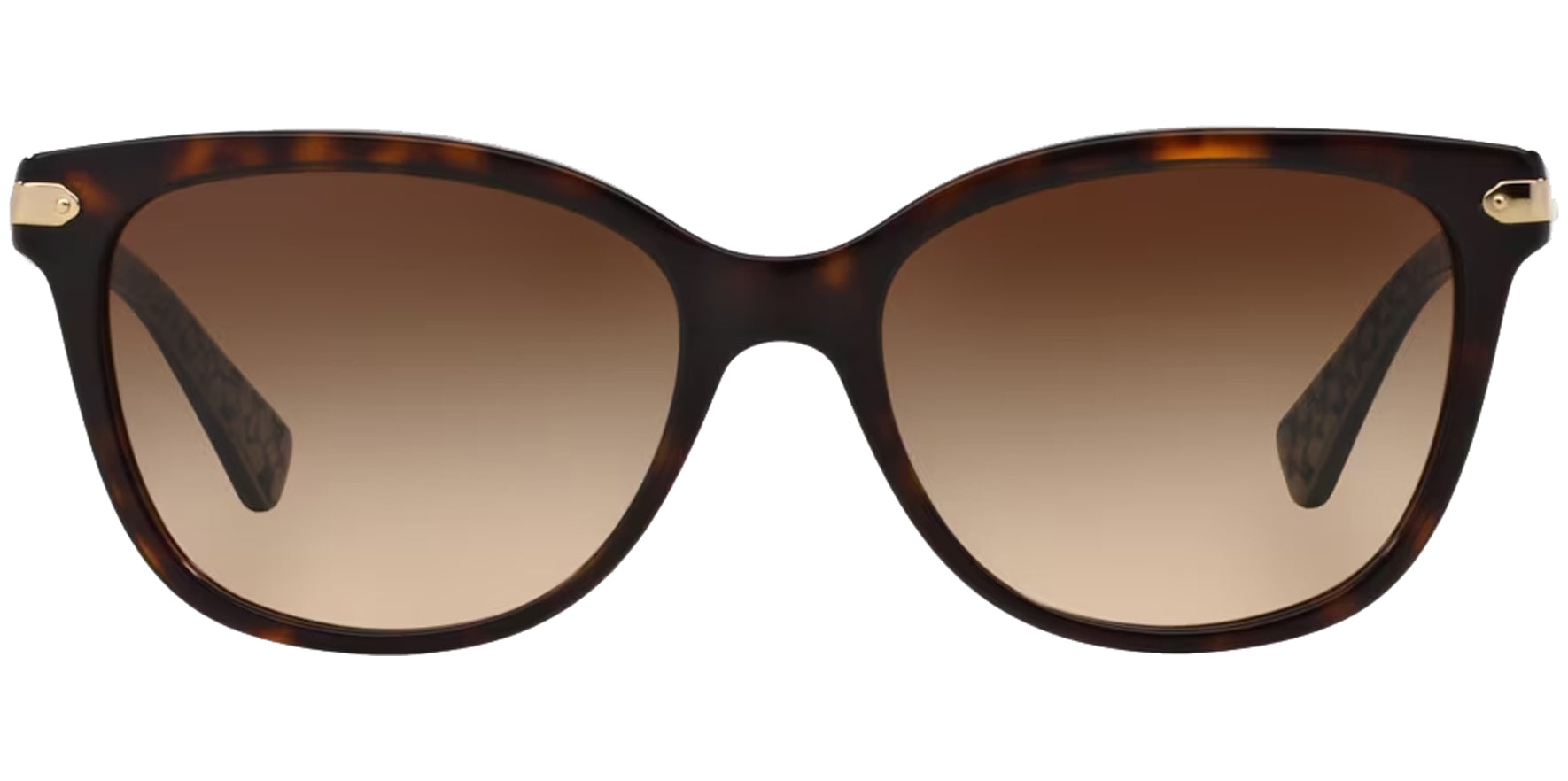 Coach Squared Cat Eye w/ Gradient Lens - Eyedictive