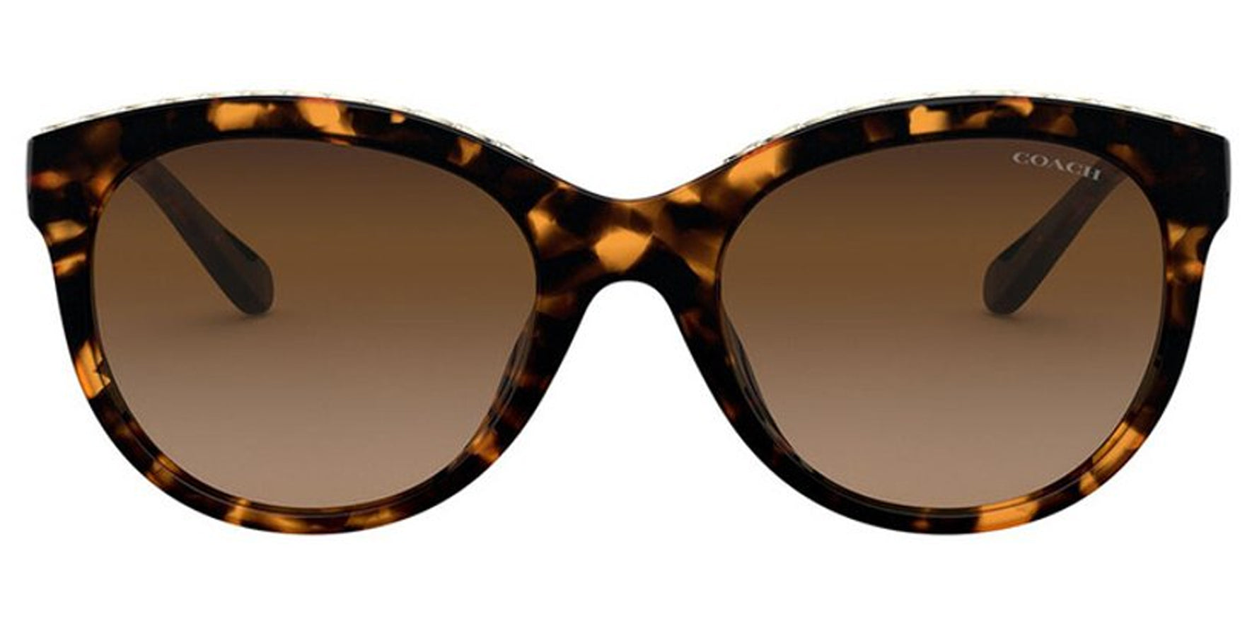 Coach Dark Tortoise Rounded Cat Eye w/ Gradient Lens - Eyedictive