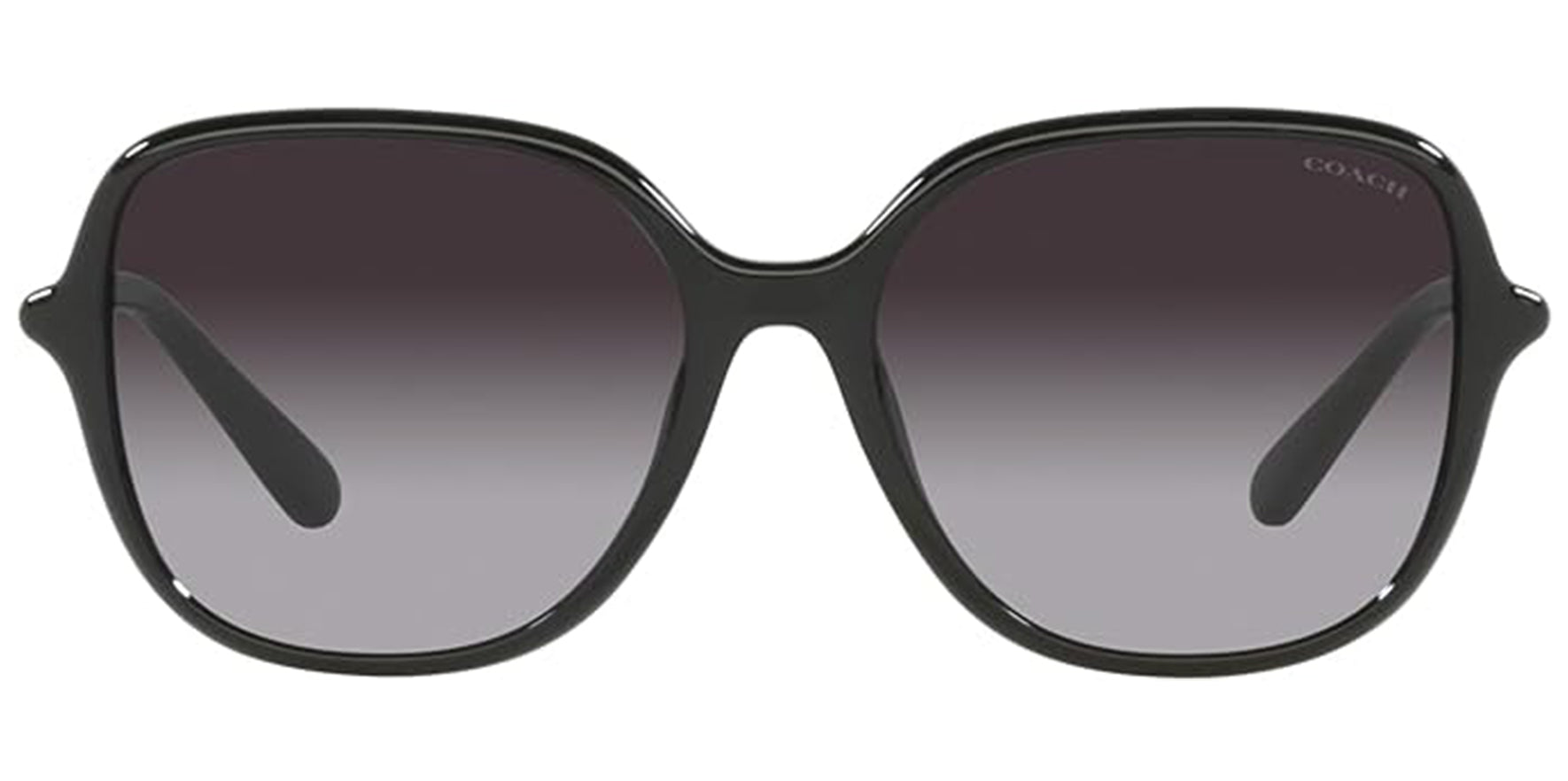 Coach Black Round Mod w/ Gradient Lens - Eyedictive