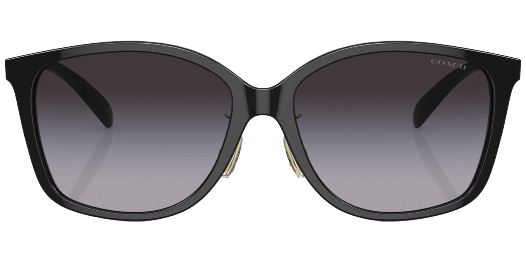 Coach Black Soft Square w/ Gradient Lens - Eyedictive