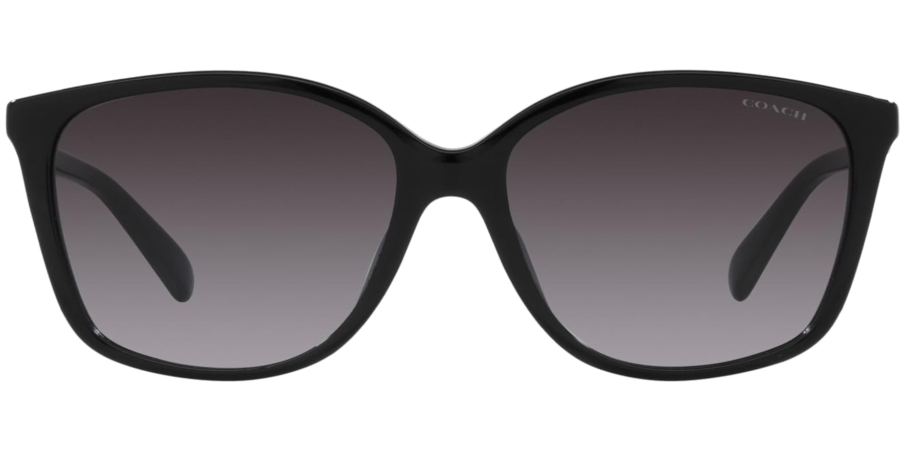 Coach Black Round Cat Eye w/ Gradient Lens - Eyedictive