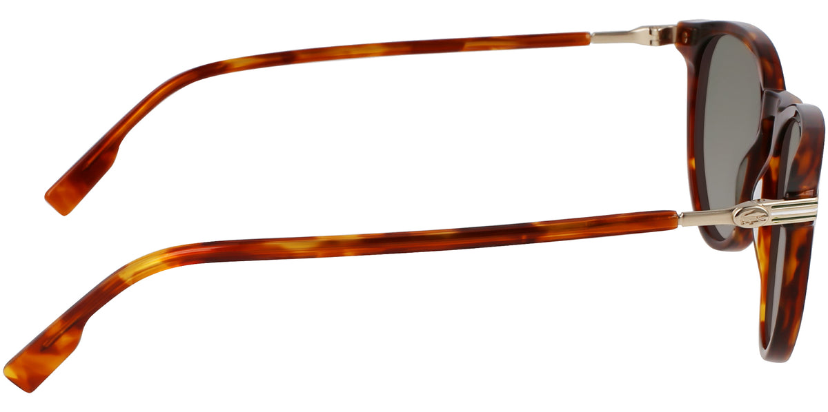 Lacoste Round w/ Steel Hinges