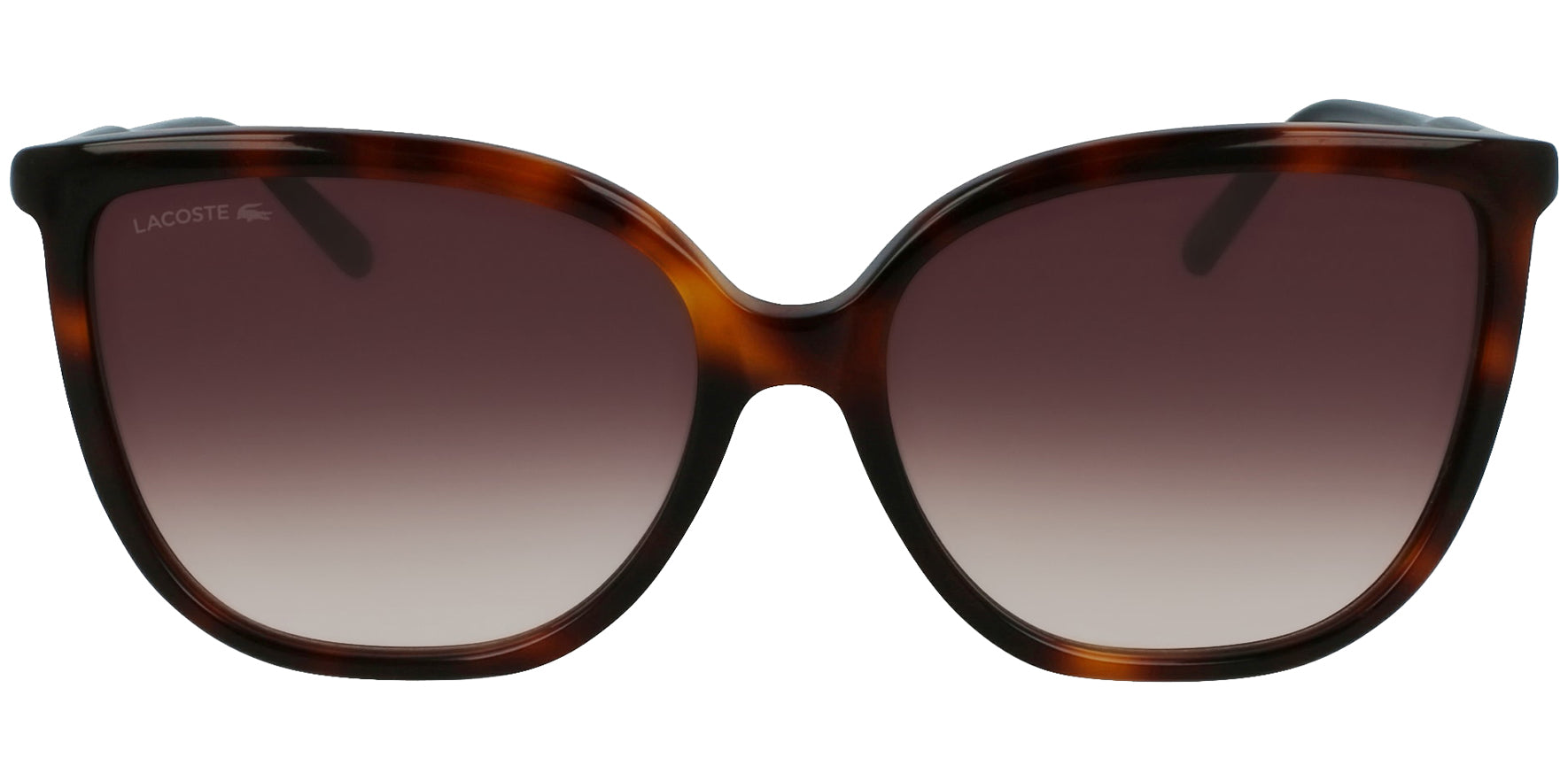 Lacoste Classic Butterfly w/ Gradient Lens - Eyedictive