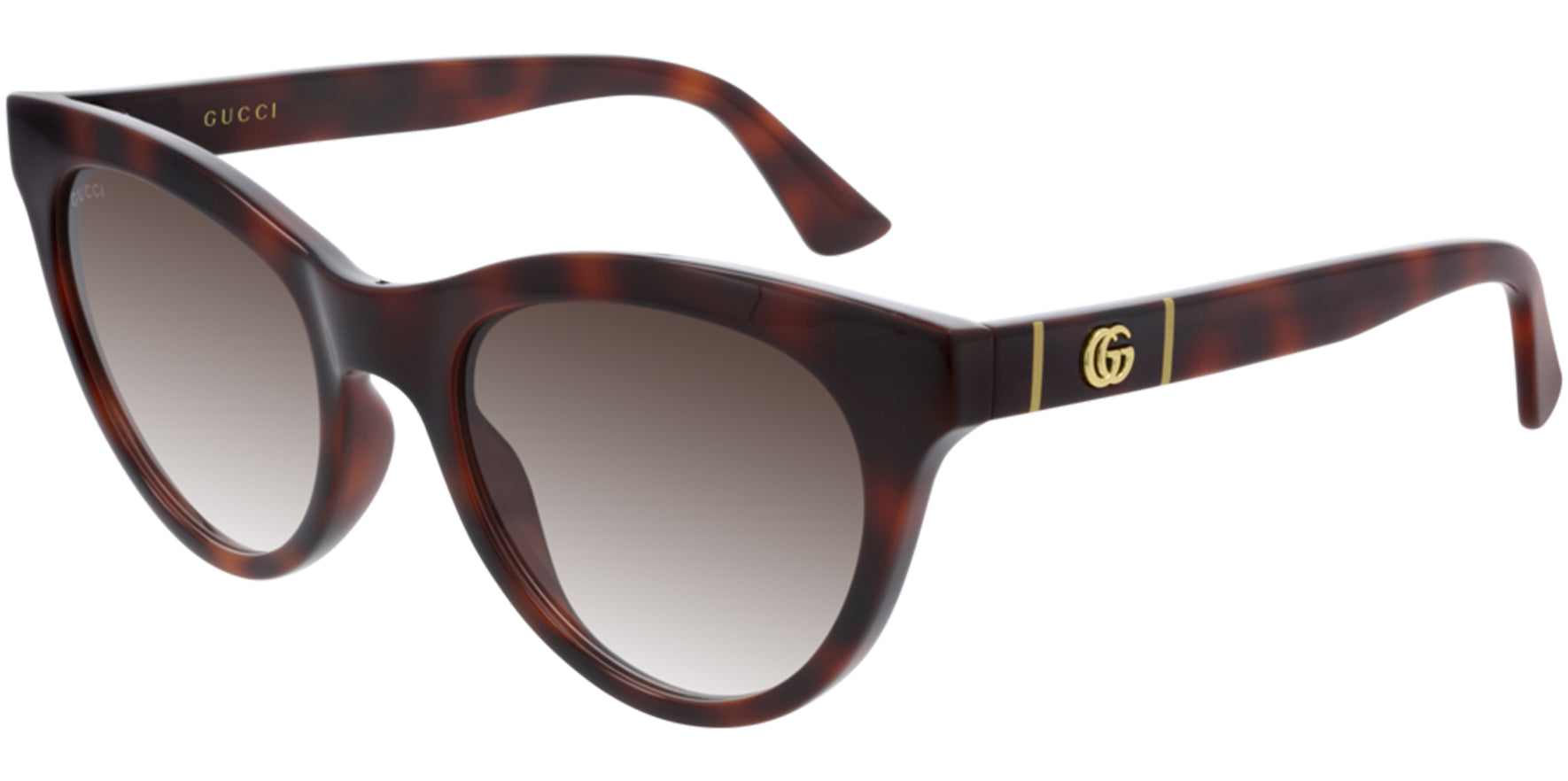 Gucci Havana Rounded Cat-Eye - Eyedictive