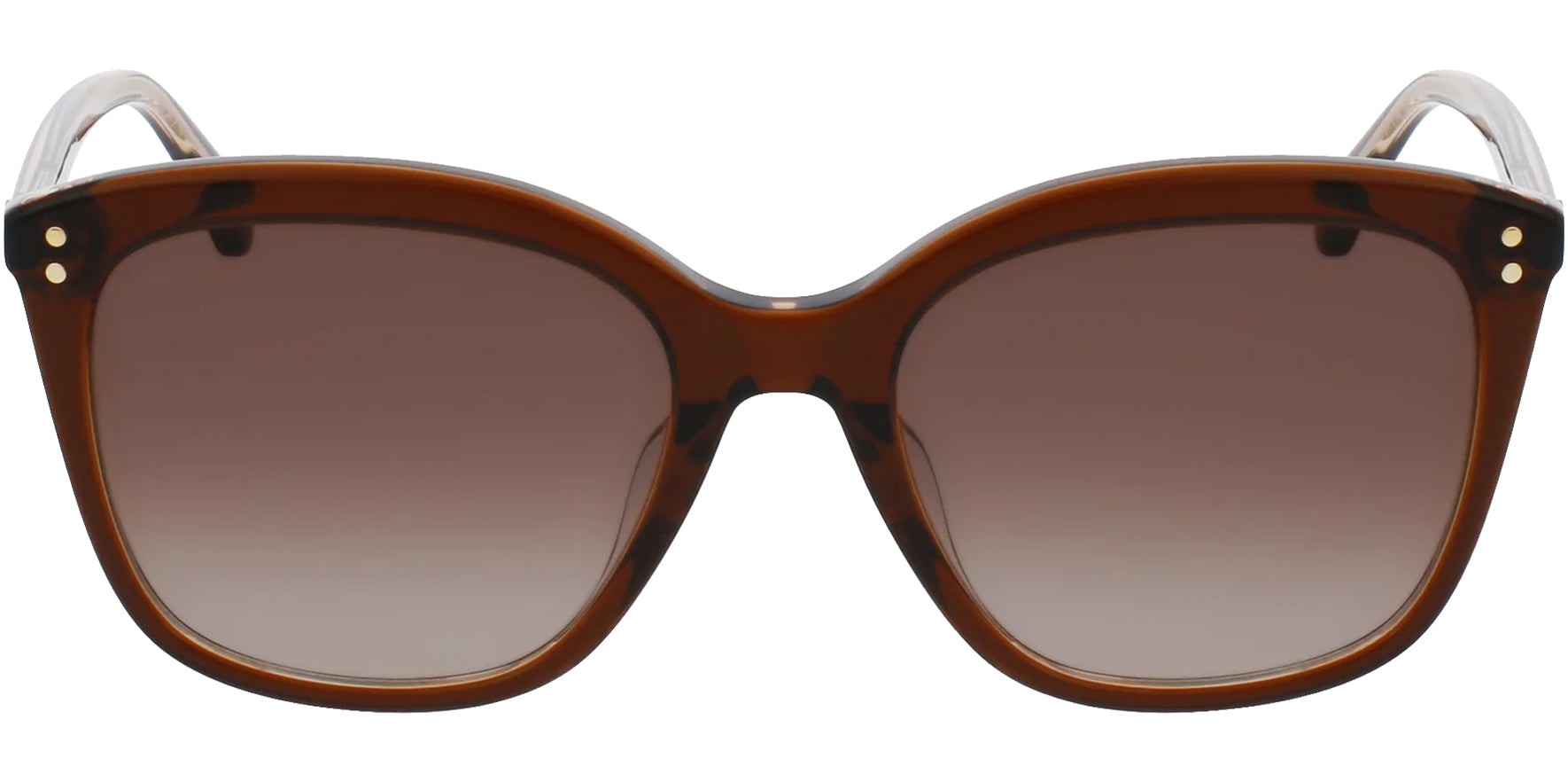 Kate Spade Pella Transparent Brown Cat Eye w/ Gradient Lens - Eyedictive