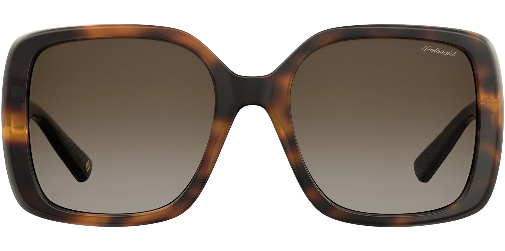 Polaroid Polarized Havana Squared Butterfly - Eyedictive