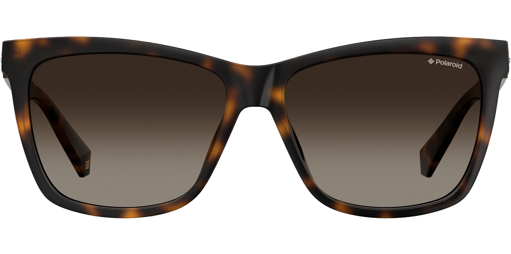 Polaroid Polarized Dark Havana Cat Eye - Eyedictive