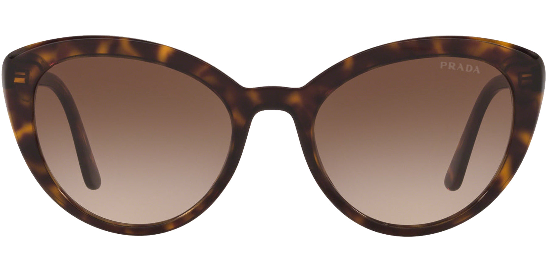 Prada Catwalk Havana Cat Eye w/ Gradient Lens - Eyedictive