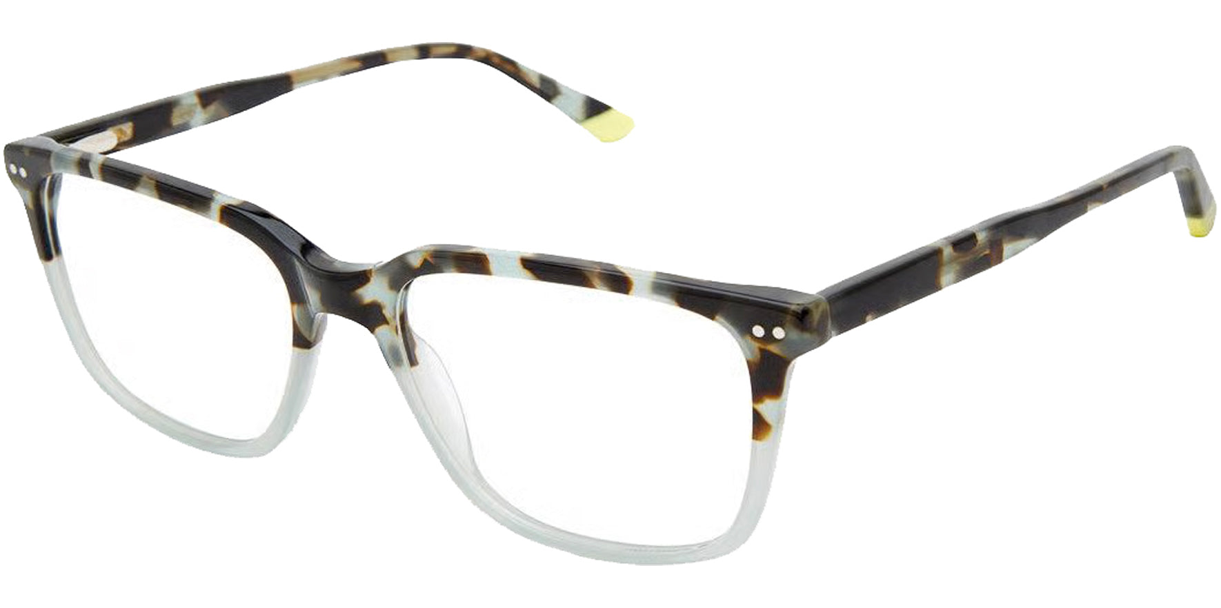 Psycho Bunny Grey Tortoise Fade Soft Square Eyeglass Frames