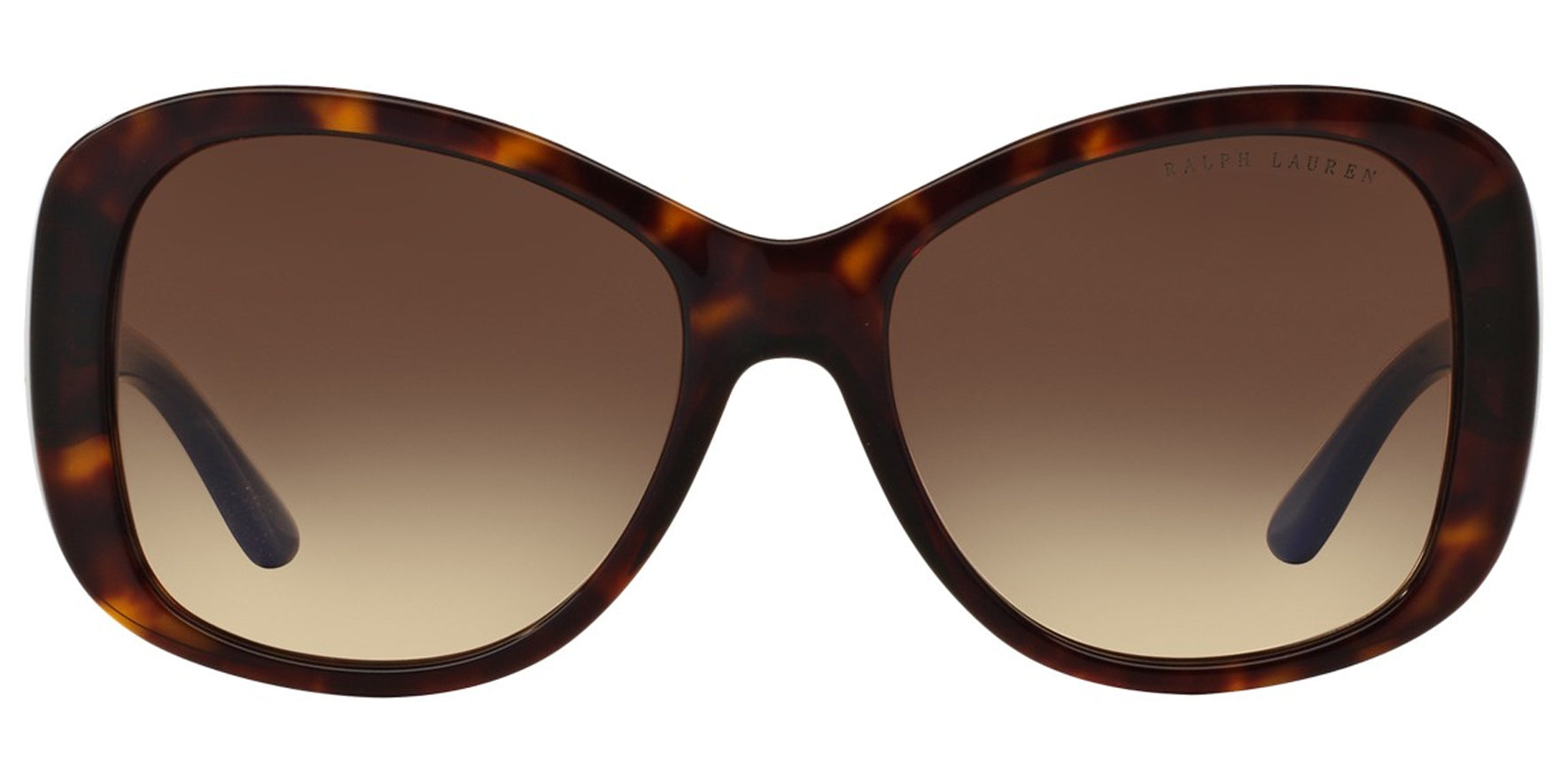 Ralph Lauren Shiny Dark Havana Butterfly - Eyedictive