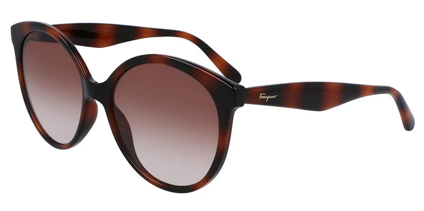 Ferragamo Tortoise Round w/ Gradient Lens