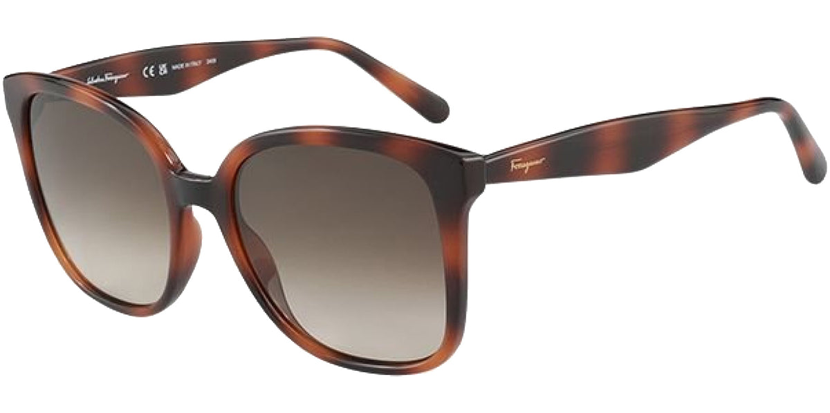 Salvatore Ferragamo Butterfly w/ Gradient Lens – Eyedictive display picture 1