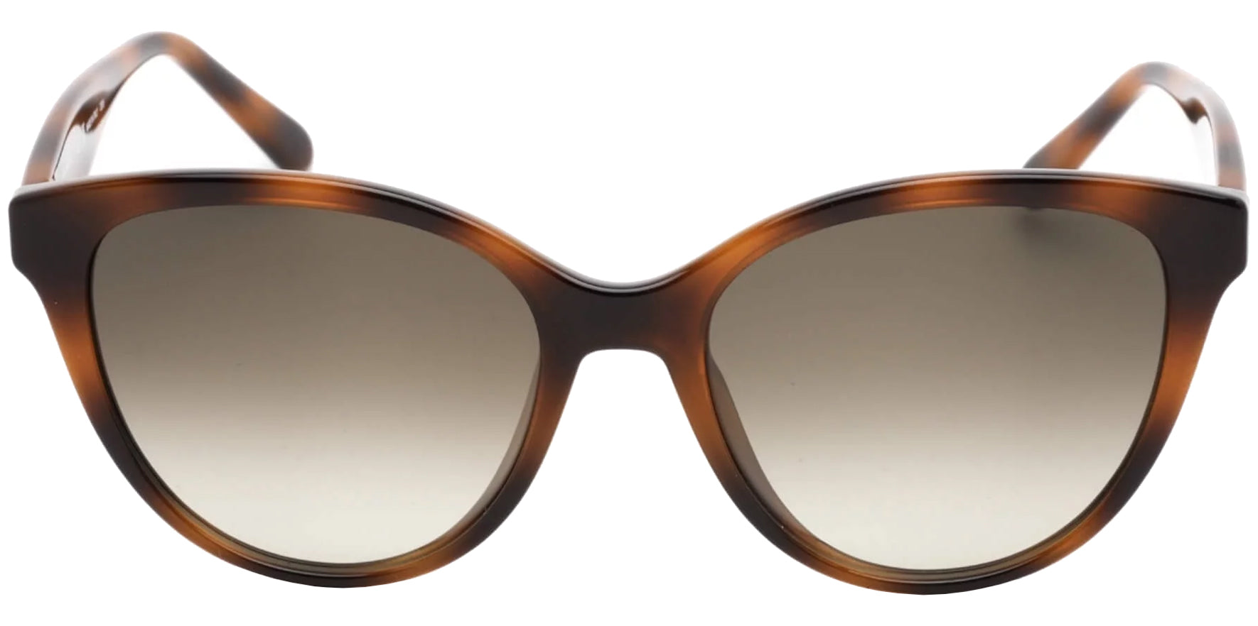 Salvatore Ferragamo Rounded Cat Eye w/ Gradient Lens