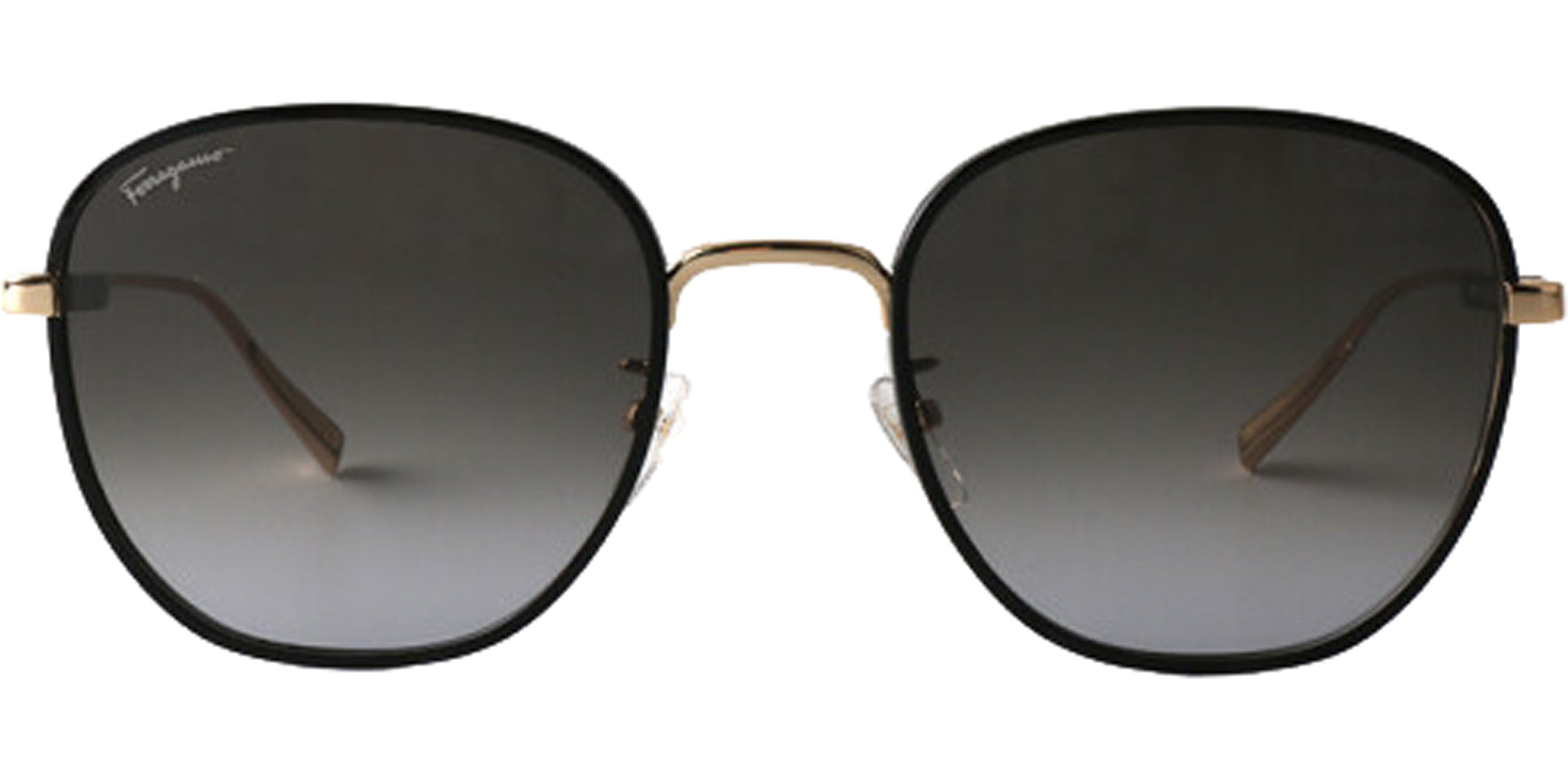 Salvatore Ferragamo Alt Fit Rounded Square w/ Gradient Lens - Eyedictive