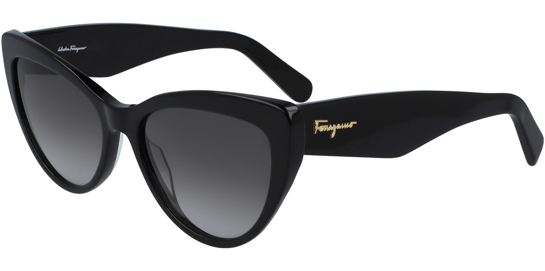 Salvatore Ferragamo Oversized Cat Eye
