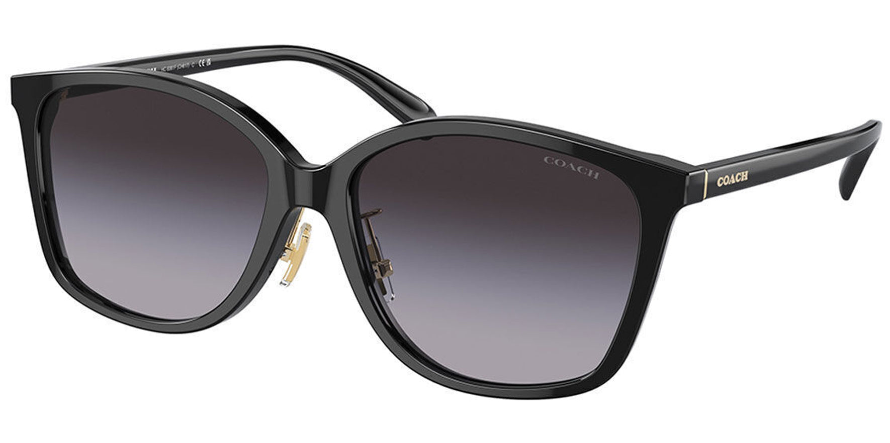 Coach Black Soft Square w/ Gradient Lens - Eyedictive