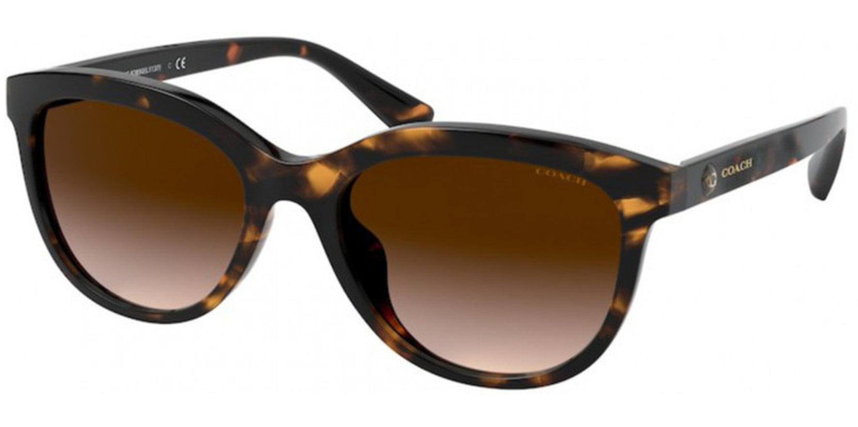 Coach Chunky Dark Tortoise Rounded Square - Eyedictive