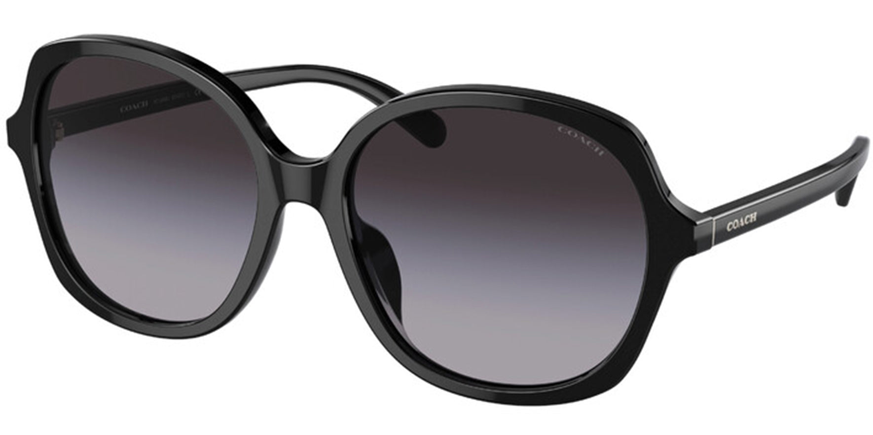 Coach Rounded Butterfly w/ Gradient Lens - Eyedictive