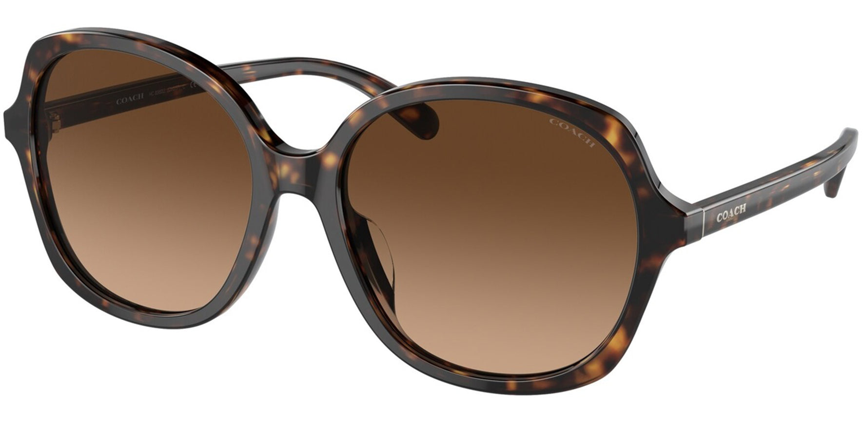 Coach Rounded Butterfly w/ Gradient Lens - Eyedictive