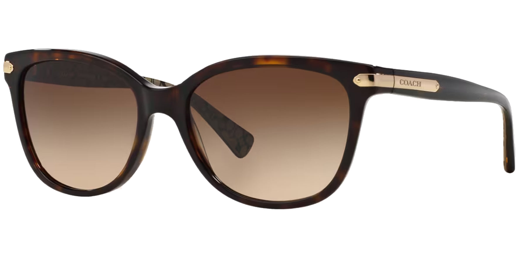 Coach Squared Cat Eye w/ Gradient Lens - Eyedictive