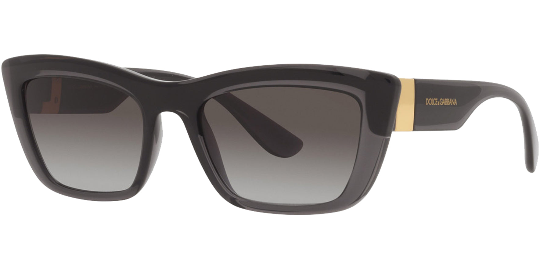 Dolce & Gabbana Transparent Grey Cat Eye - Eyedictive