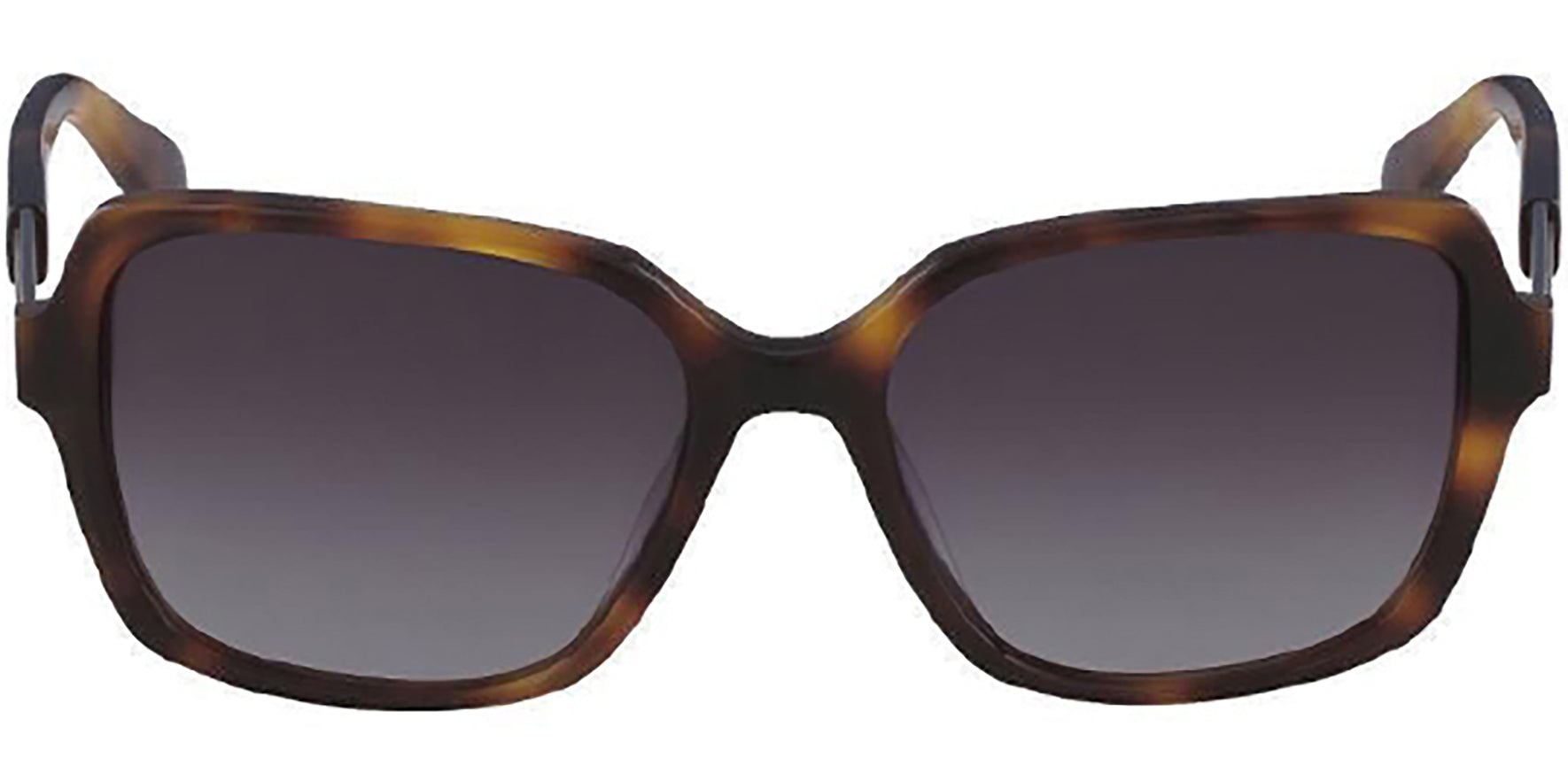 Diane Von Furstenberg Becky Tortoise Square - Eyedictive