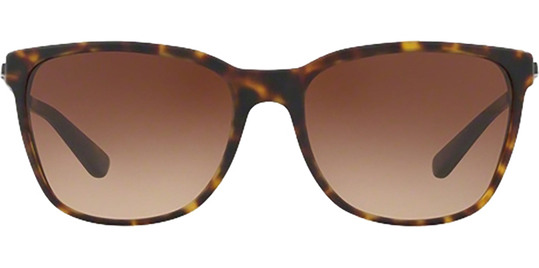 DKNY Matte Tortoise Classic w/ Gradient Lens - Eyedictive