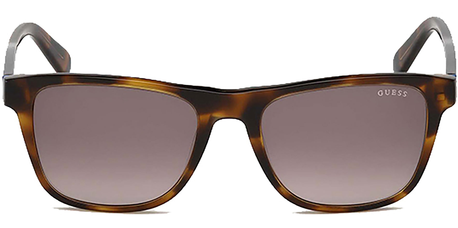 Guess Brown Horn Classic w/ Gradient Lens - Eyedictive