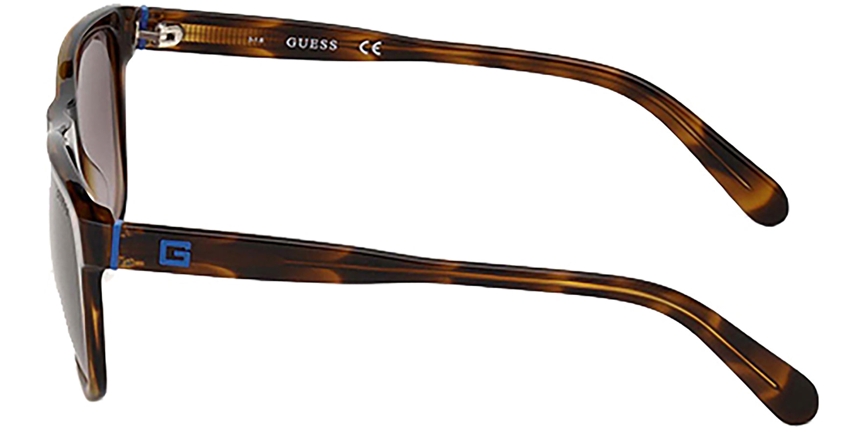 Guess Brown Horn Classic w/ Gradient Lens - Eyedictive